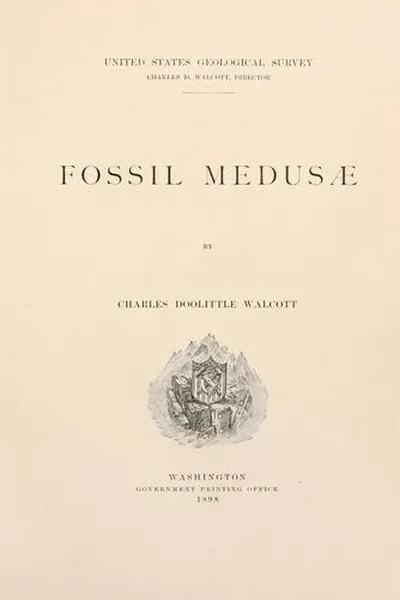 Capa de Fossil Medusæ