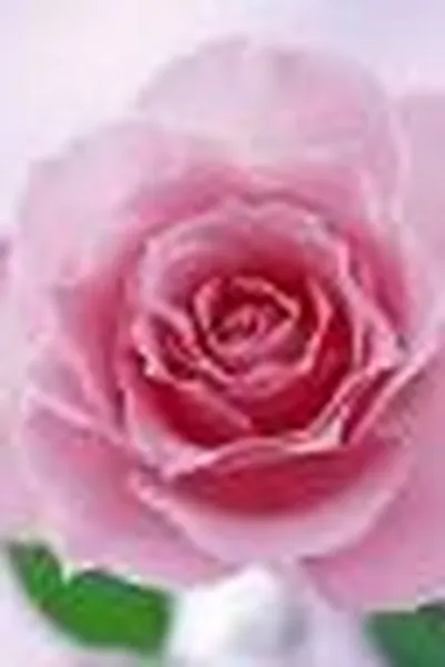 Capa de Progressive shorthand passages