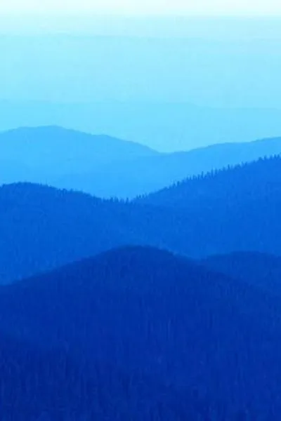 Capa de Second language reading and vocabulary learning