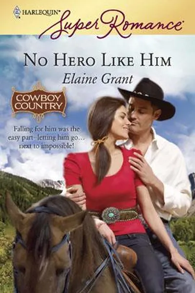 Capa de No hero like him