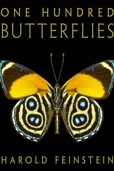 Capa de One hundred butterflies