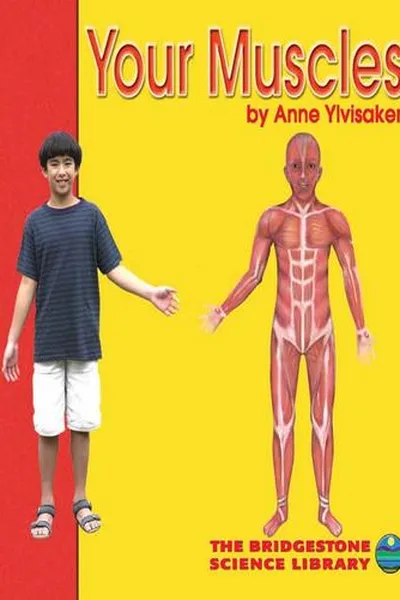 Capa de Your Muscles