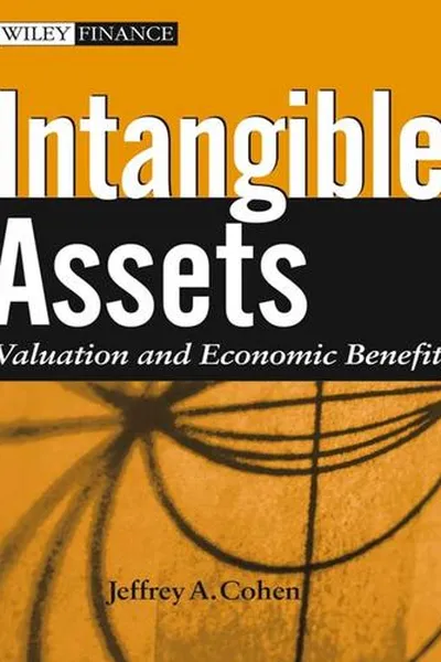 Capa de Intangible Assets