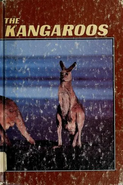 Capa de The kangaroos
