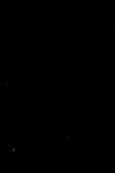 Capa de Salvation Boulevard