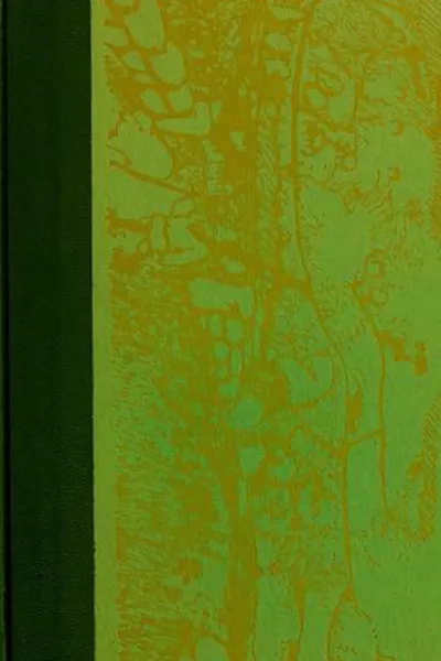 Capa de The World from Rough Stones