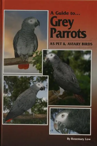 Capa de A Guide to Grey Parrots