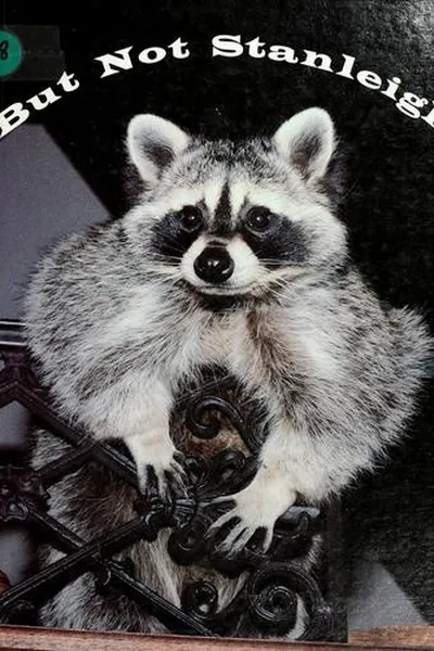 Capa de But not Stanleigh