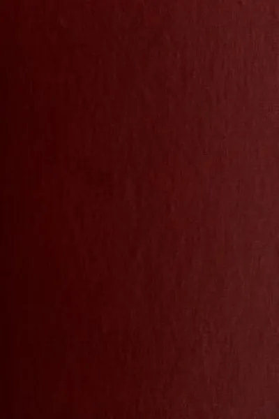 Capa de The remarkable young man