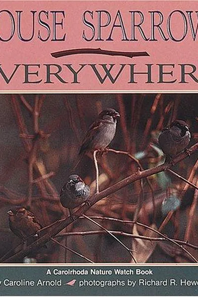 Cover of House sparrows everywhere