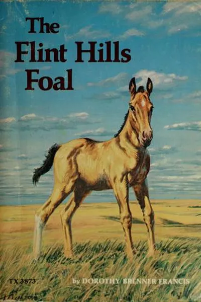 Capa de The Flint Hills foal