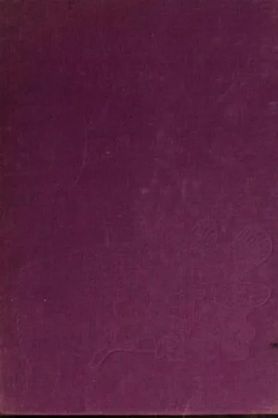 Capa de The stolen fire