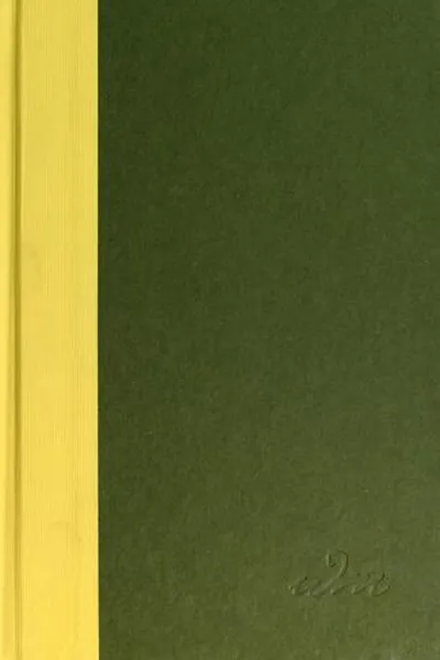 Capa de Busting Vegas