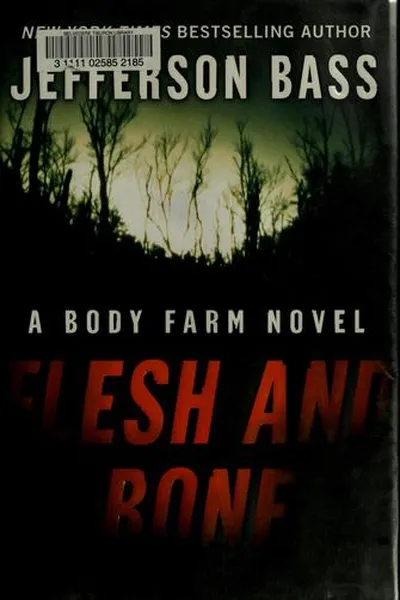 Capa de Flesh and bone
