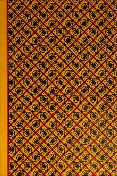 Capa de Backyard vacation