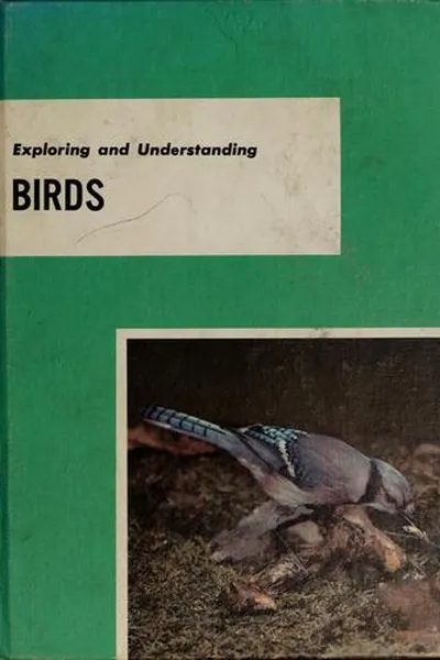 Capa de Exploring and understanding birds