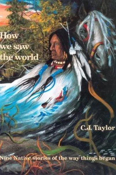 Capa de How we saw the world