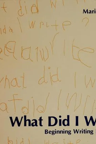 Capa de What did I write?