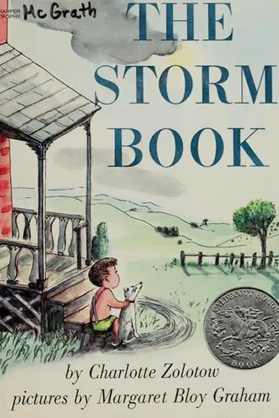 Cover of The storm book