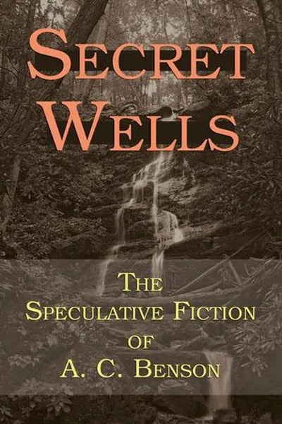 Capa de Secret Wells