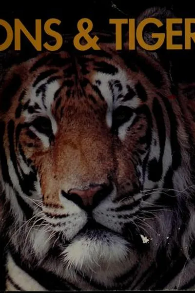 Capa de Lions & tigers