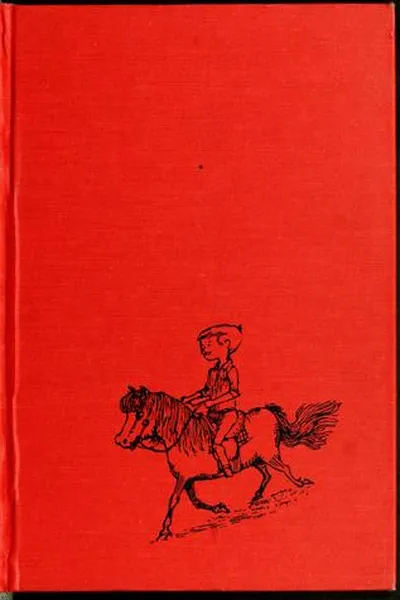 Capa de Fancy and the cement patch