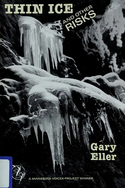 Capa de Thin ice and other risks