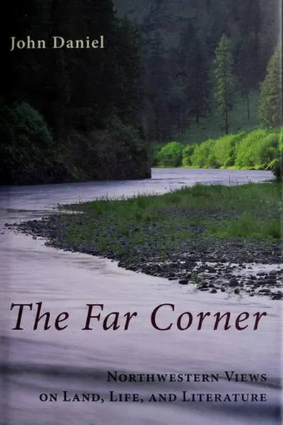Capa de The far corner