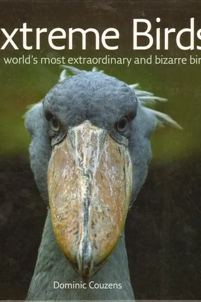 Capa de Extreme birds