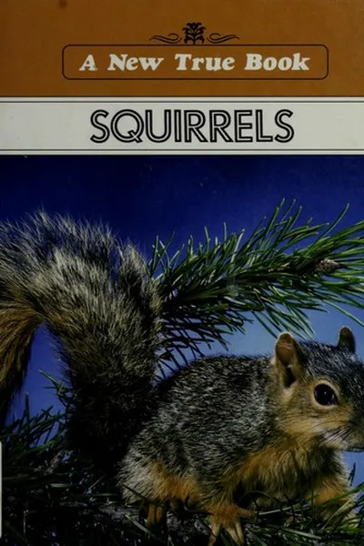 Capa de Squirrels