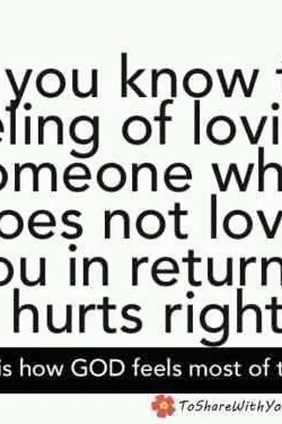 Cover of The rainbow dictionary