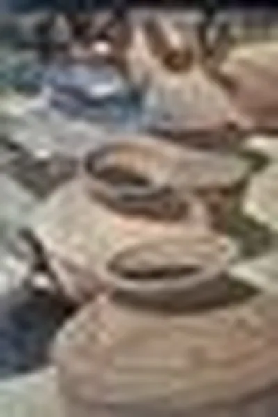 Capa de Takelaka notsongaina