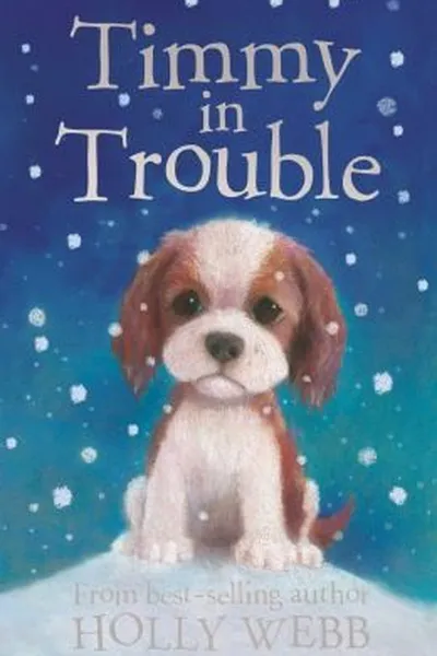 Capa de Timmy In Trouble