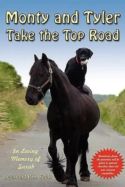 Capa de Monty And Tyler Take The Top Road