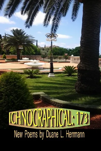 Cover of Ichnographical:173