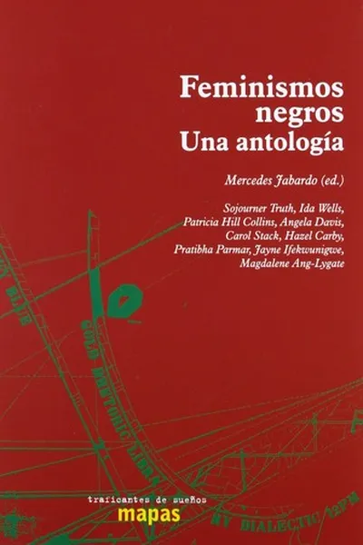 Capa de Feminismos negros