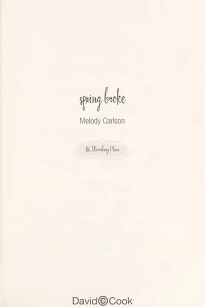 Capa de Spring broke