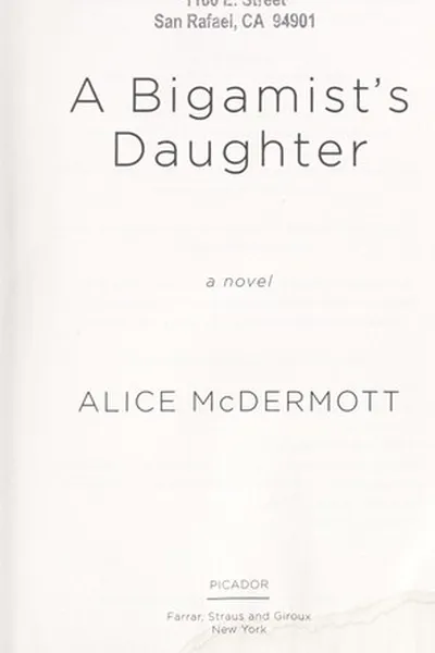 Capa de A bigamist's daughter