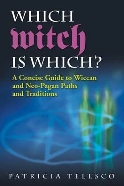 Capa de Which Witch Is Which?