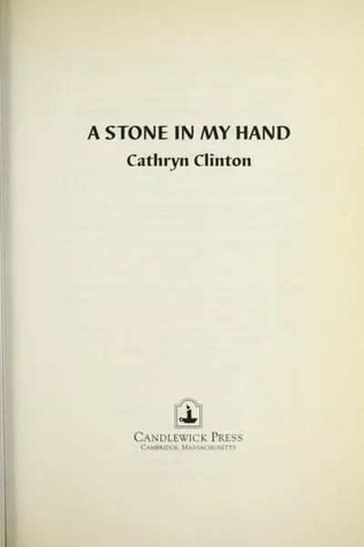 Capa de A stone in my hand