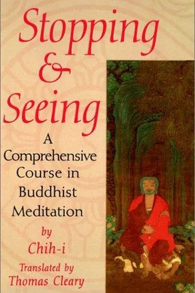 Capa de Stopping and seeing