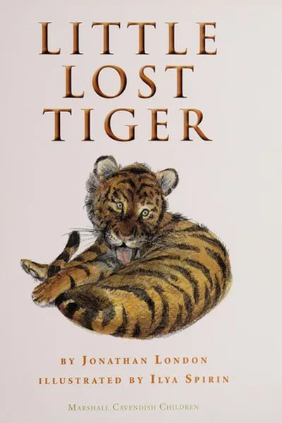 Capa de Little lost tiger