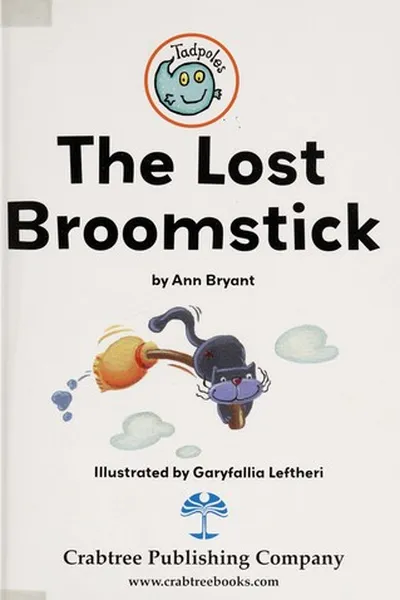 Cover of The lost broomstick