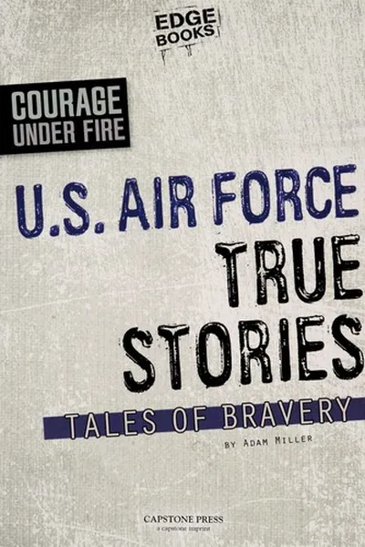 Capa de U.S. Air Force true stories