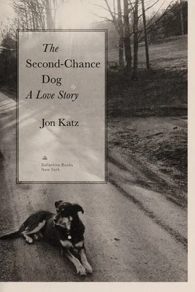 Capa de The second-chance dog