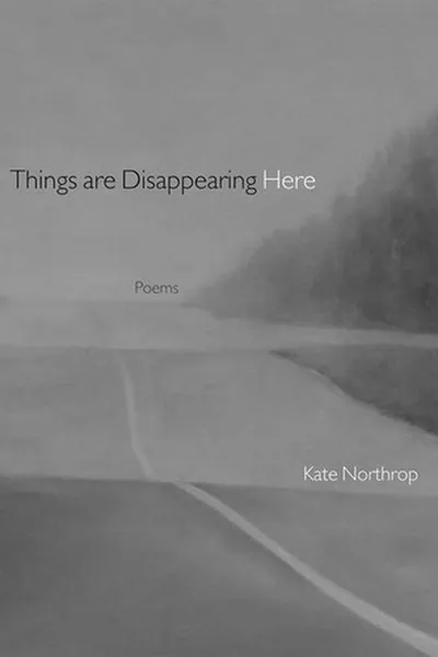 Capa de Things Are Disappearing Here