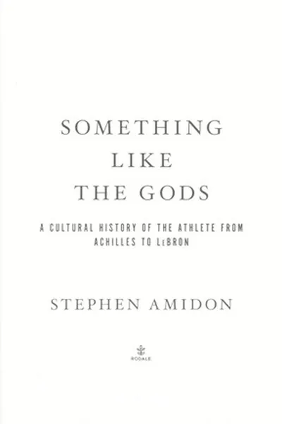 Capa de Something like the gods