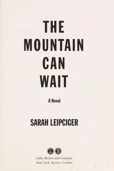 Capa de The mountain can wait