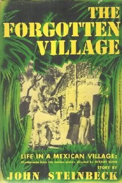 Capa de The Forgotten Village