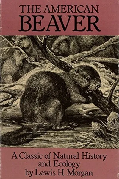 Capa de The American beaver